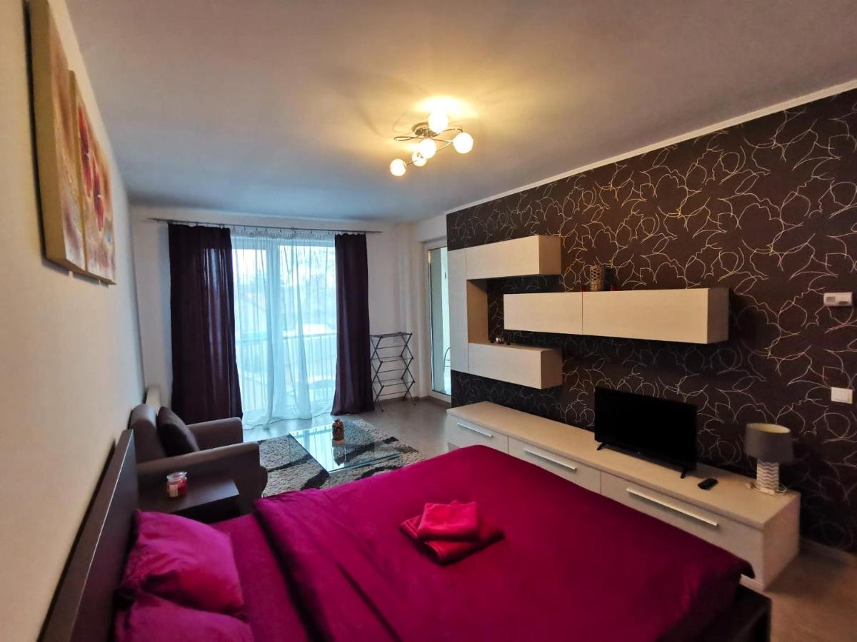 Contemporary Central Apartment In Cluj Napoca ภายนอก รูปภาพ