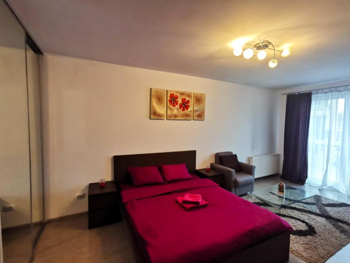 Contemporary Central Apartment In Cluj Napoca ภายนอก รูปภาพ